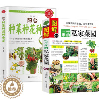 【醉染正版】2册 图解一平米的私家菜园+阳台种菜种花种香草 种植技术新手入门四季养花种花大全家庭养花种菜花卉种植宝典书花