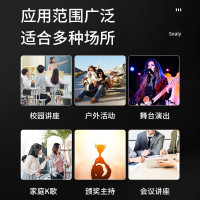 索爱(soaiy) WK2 无线麦克风双话筒专业手持KTV唱歌演出舞台K歌会议通用家庭麦克风 一拖二
