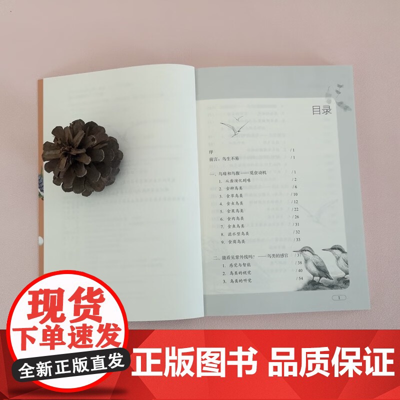 鸟类的秘密生活 罗杰.J.莱德勒 著 科普读物高清大图