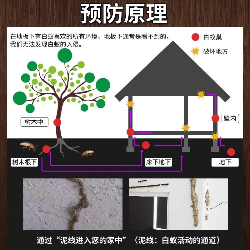 灭杀白蚁药装修防治专用药粉杀虫剂防白蚁喷雾剂园林全窝端一巢灭