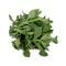 田七叶500g 田三七 山漆 野菜 新鲜蔬菜