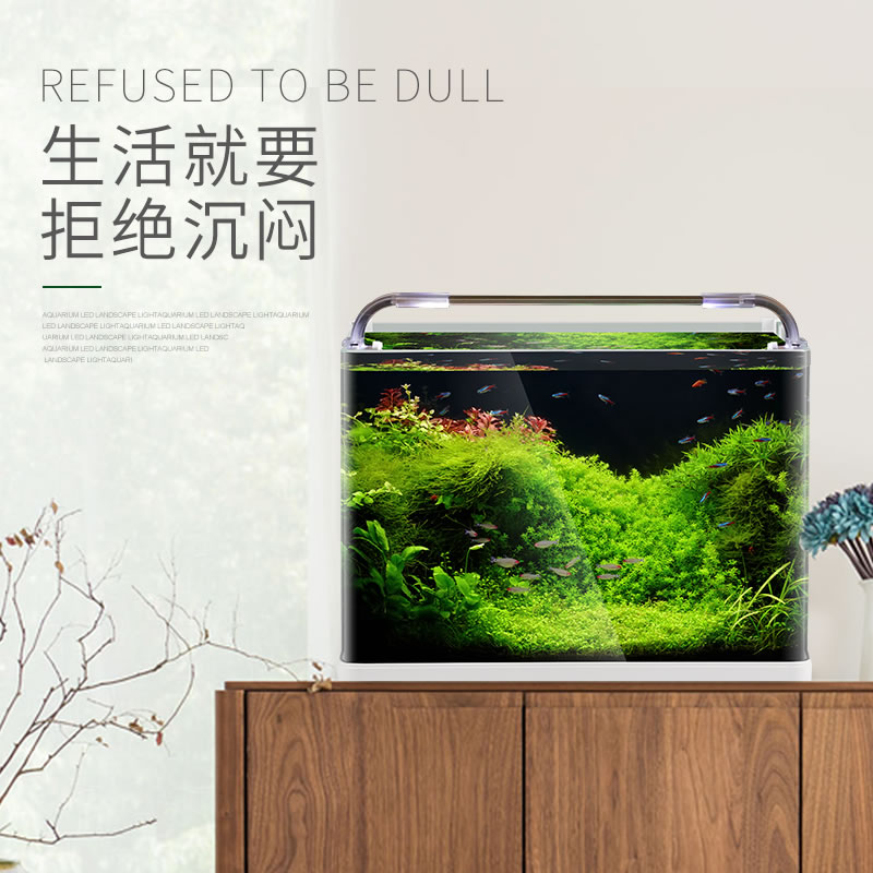 热弯鱼缸免换水懒人生态鱼缸小型水族箱超白玻璃金鱼缸水缸高清大图