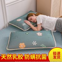天然乳胶-泫雅花 防螨抗菌枕套48*74cm[单只装] 夏季冰丝凉席天然乳胶枕套防螨抗菌一对装枕头套48*74cm保护枕