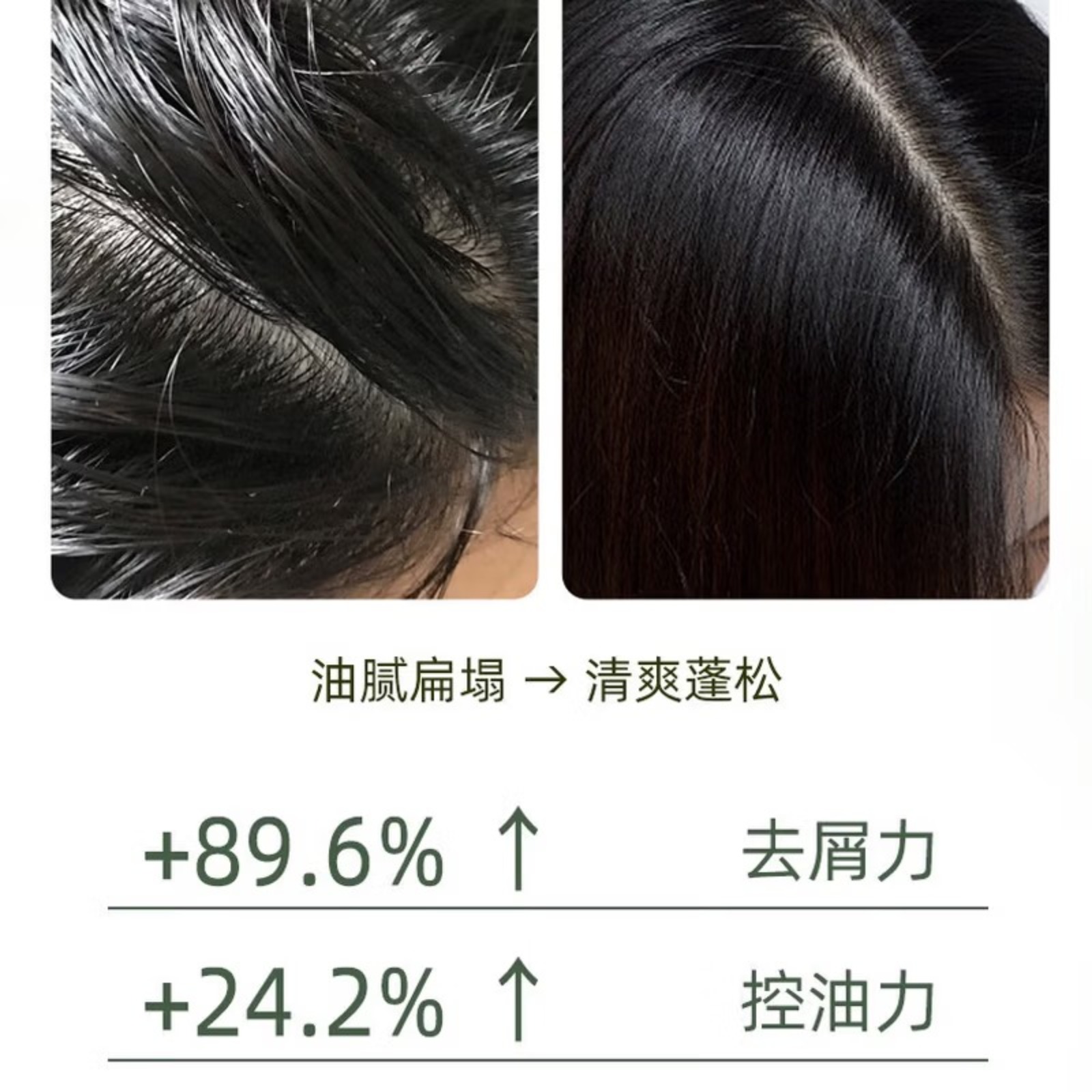 10129006940027高清大图