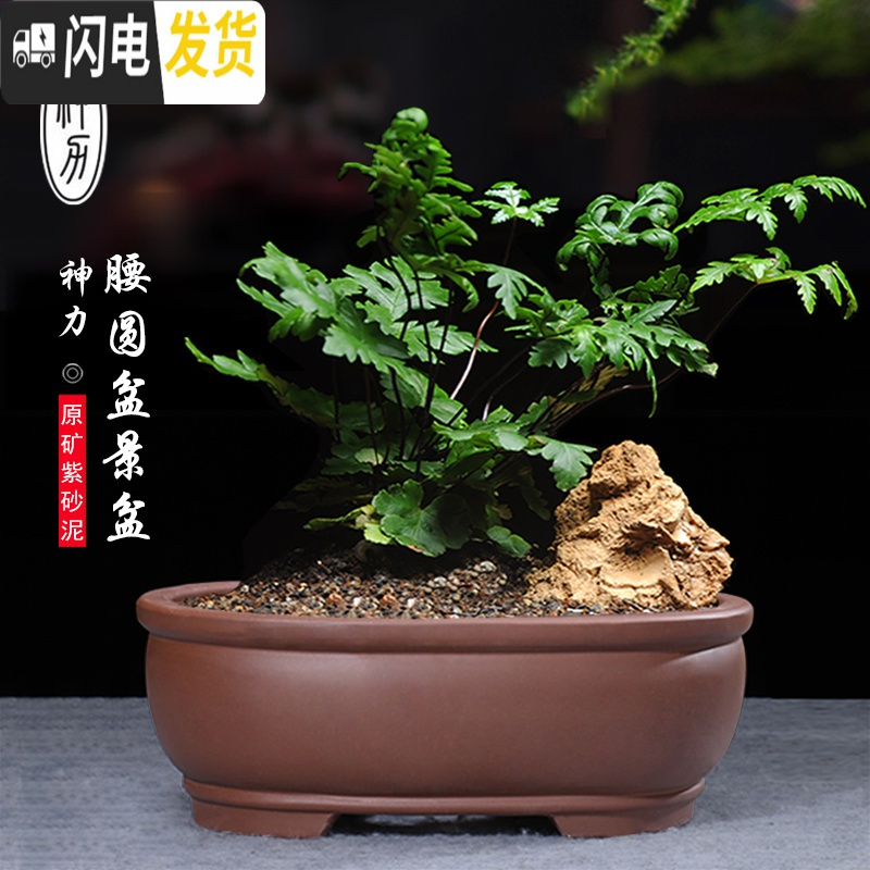 三维工匠紫砂花盆 盆景盆 长方形 腰元花盆室内假山盆景盆菖蒲盆景花盆 红拼s407腰圆上下线/送塑料托盘 中等花盆容器高清大图