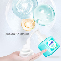蓝月亮洗手液鲜果薄荷泡沫抑菌洗手液255ml*2瓶(包装随机)