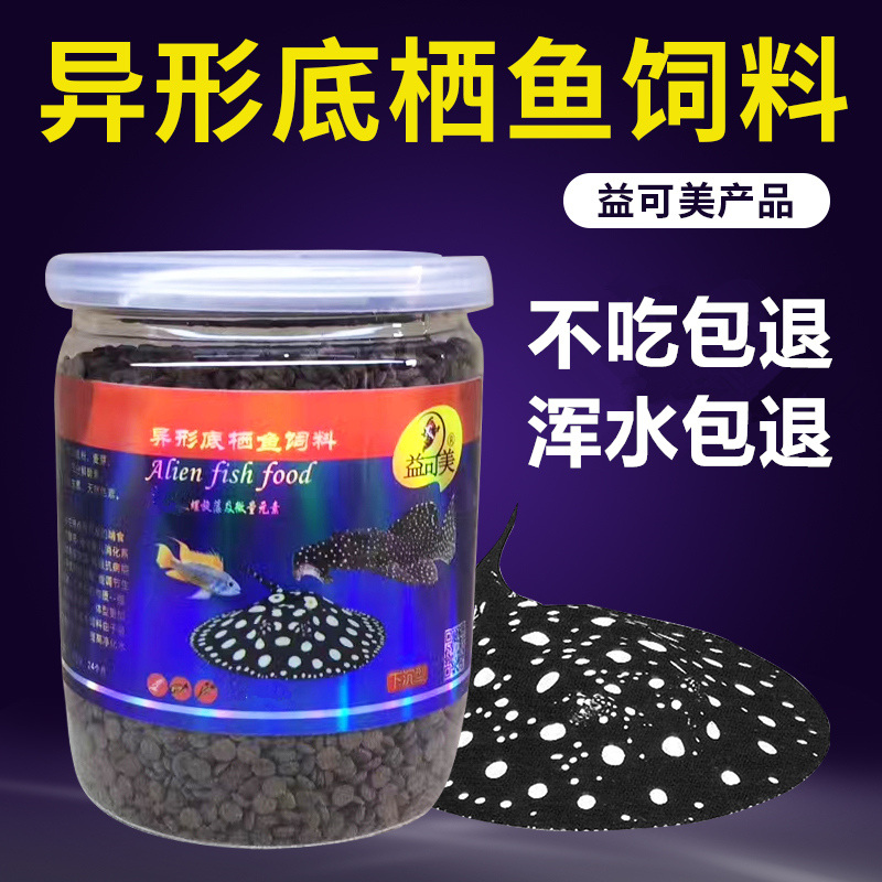 猫鱼饲料专用鱼食沉底底栖异形清道夫蓝虎头鲨热带老鼠高清大图