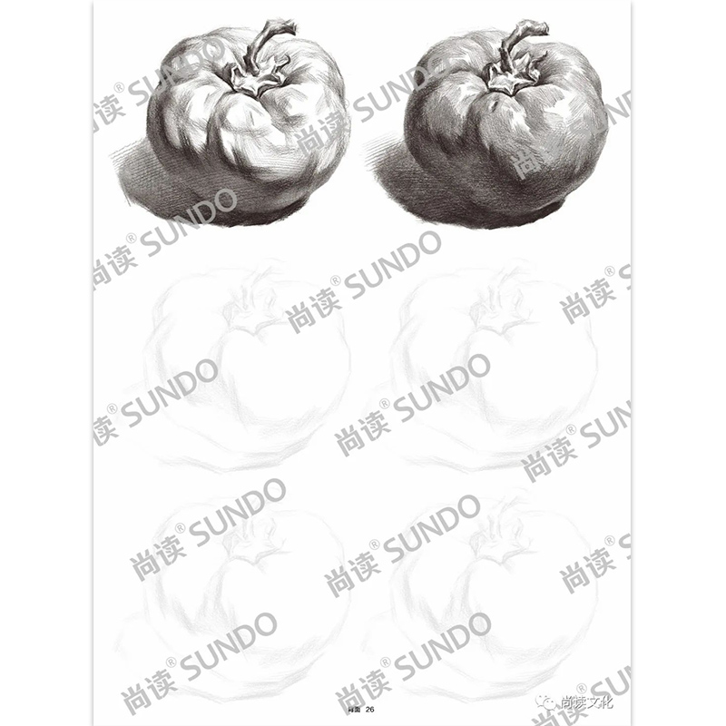 [正版]超级临摹纸素描静物单体 2022尚读文化8K开描摹本水粉自学初学入门高清大图