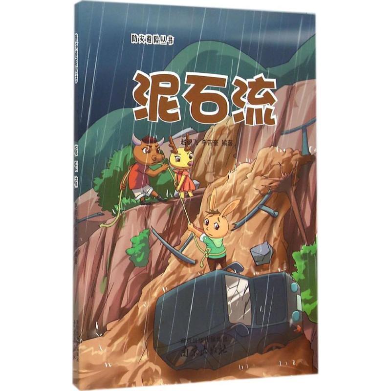 正版新书】泥石流赵鹏飞9787553311098