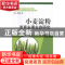 正版 小麦淀粉发育生理生态研究 李诚,李春艳 著 经济管理出版社