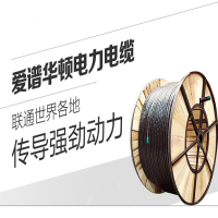 RCV 爱谱华顿主干电缆YJV3*4 1米