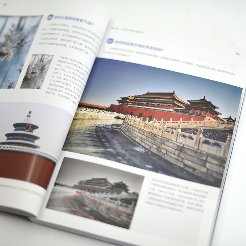 [正版图书]专业摄影师这样拍 摄影构图的180个问答 摄影构图摄影笔记拍摄技巧教程数码单反人像摄影构图教程手机摄影入门教