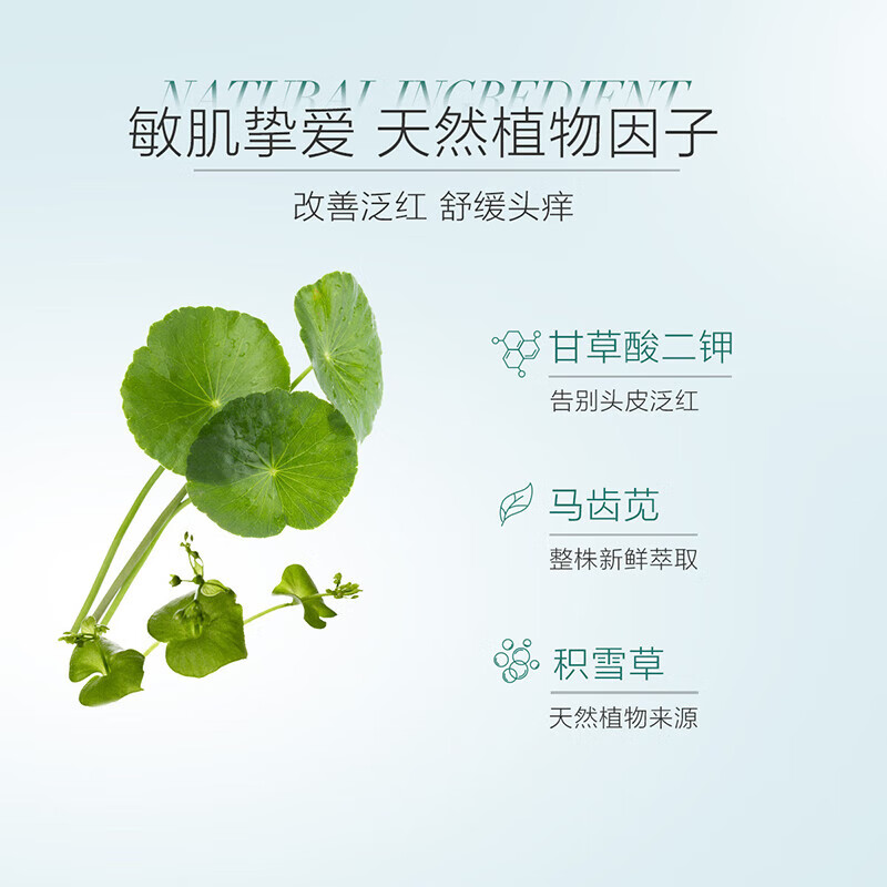 自然堂 头皮护理控油舒爽清润精华乳 550mL/瓶高清大图