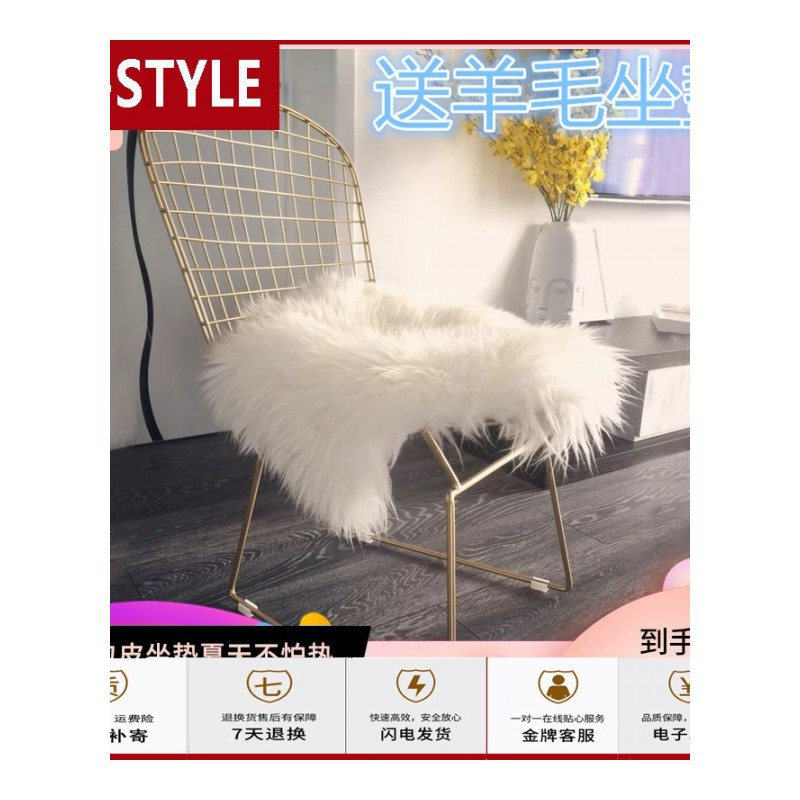 苏宁放心购北欧网红椅子靠背化妆椅梳妆椅简约镂空铁丝网椅ins铁艺家用餐椅A-STYLE