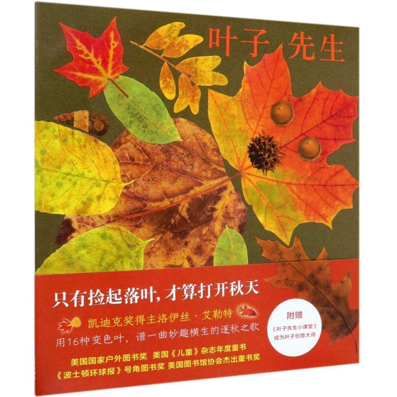 叶子先生(精) [正版]叶子先生(精) 洛伊丝艾勒特秋天主题儿童绘本3三-4-5到6岁以上幼儿园大中小班宝宝孩子入学前阅