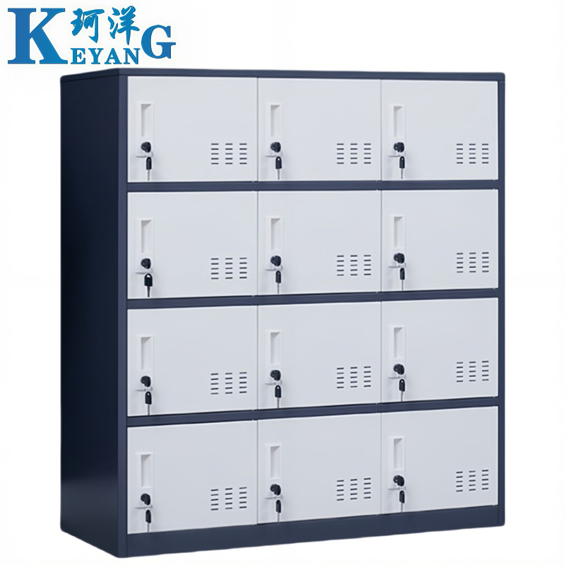 珂洋 存包柜 十二门(灰白套色) 台高清大图