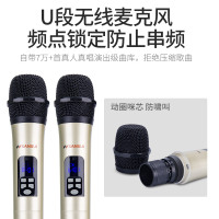 Sansui/山水 H6家庭ktv音响套装专业卡包音箱全套卡拉ok家用k歌家庭影院无线话筒麦克风(不带点歌机)