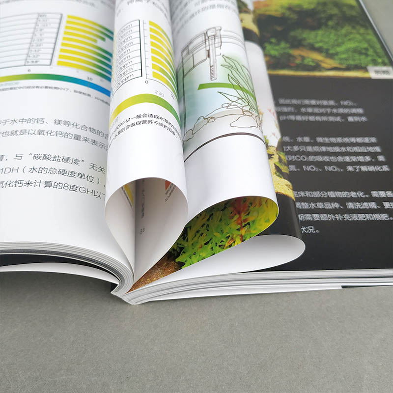 [正版]3册方寸之间雨林世界热带雨林景观设计水草造景艺术从入门到精通我的一本雨林缸造景书生态缸造景详解介绍雨林缸造景制作高清大图