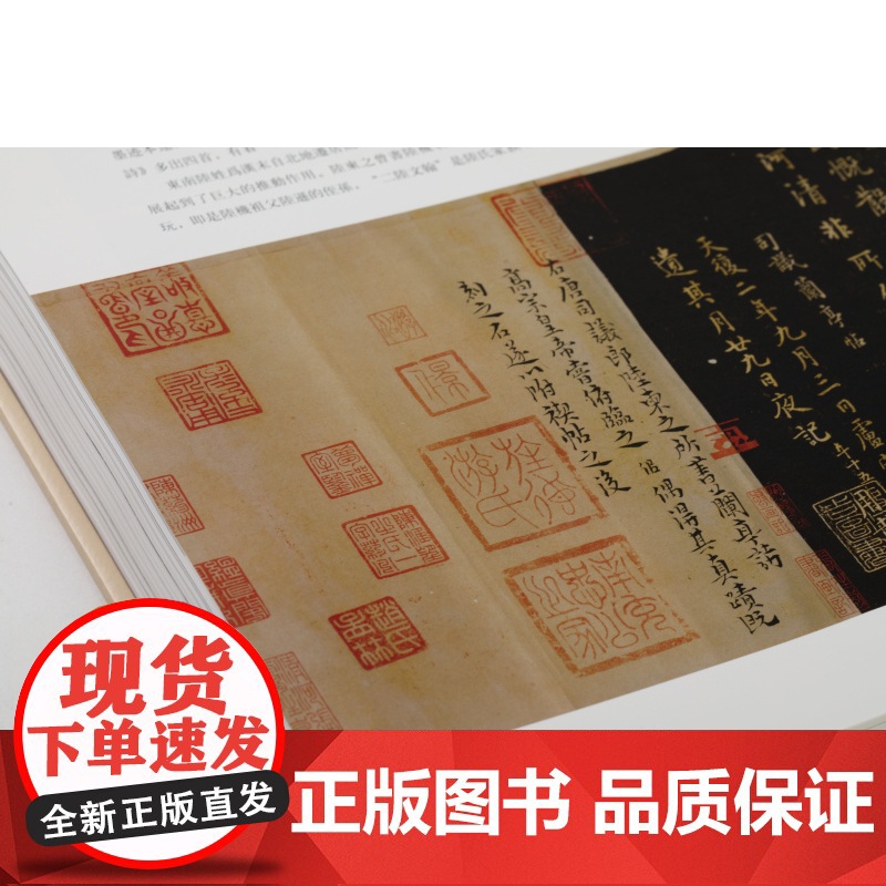 万年长春上海历代书画艺术特集 上海博物馆编 收藏鉴赏 上海书画出版社高清大图