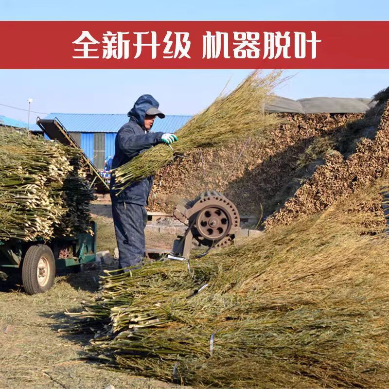 谋福 大扫把 手工制作庭院单个笤帚[塑料丝大扫把(分体式)]*/个高清大图