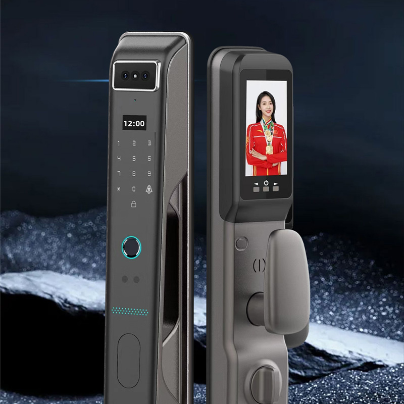 芯安之星 全自动智能锁指纹锁密码锁智能门锁 (星光) 猫眼全自动智能