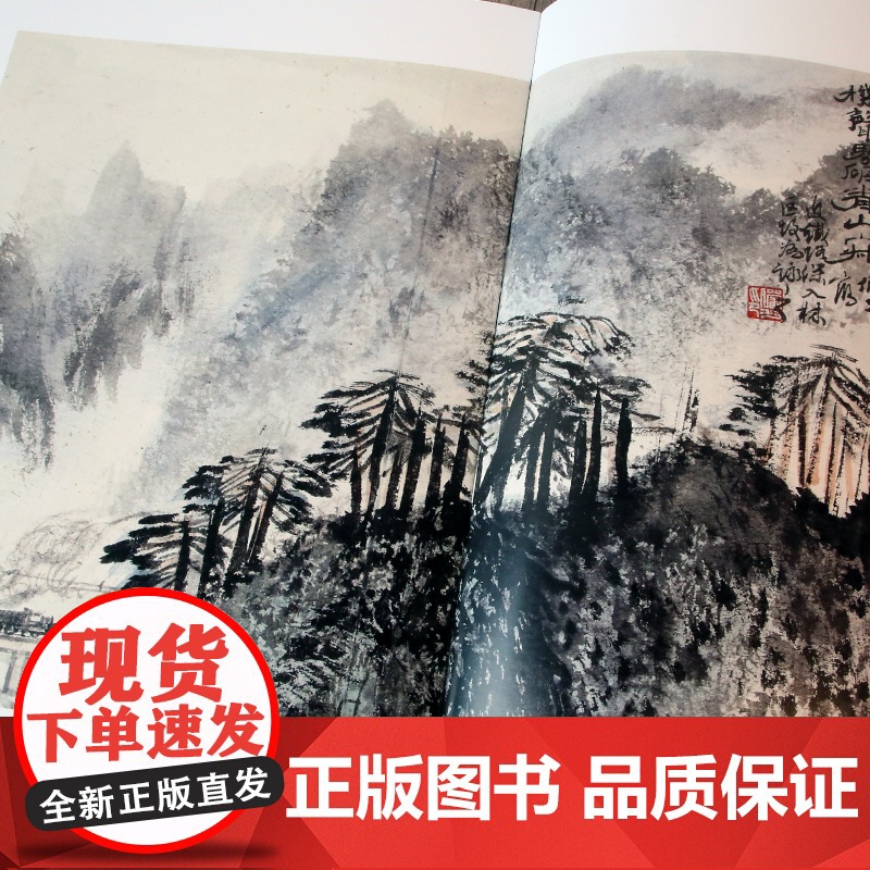 巨匠-陆俨少 精美绘画合集收藏鉴赏 中国美术学院出版社高清大图