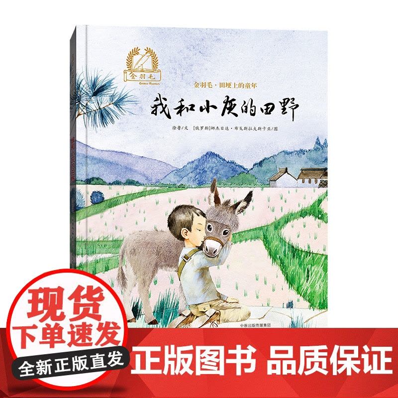 金羽毛·田埂上的童年 我和小灰的田野图片
