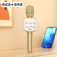 索爱(soaiy) MC7话筒音响一体麦克风适用于唱吧无线蓝牙家用全民唱K歌神器专用手机电视儿童宝宝专业卡拉OK 香槟金