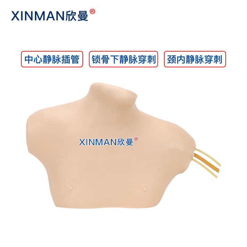 欣曼科教 中心静脉穿刺插管模型 中心静脉置管术训练模型XM-LZC02高清大图