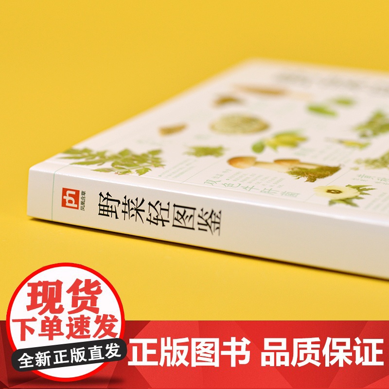 野菜轻图鉴 250余种野菜识别与食用指南 分类 名称 特征识别 生活习性 繁殖方式 科普常见野菜识别知识 享受采摘野菜高清大图