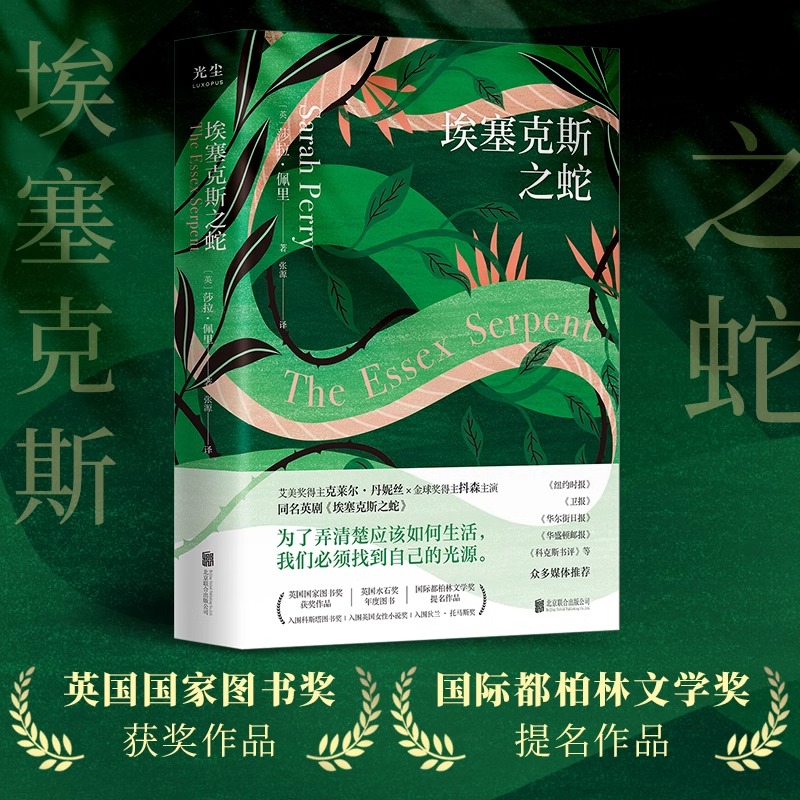 [正版]央视网埃塞克斯之蛇 英国国家图书奖获奖作品 国际都柏林文学奖提名作品 为了弄清楚应该如何生活 我们必须找到自己高清大图