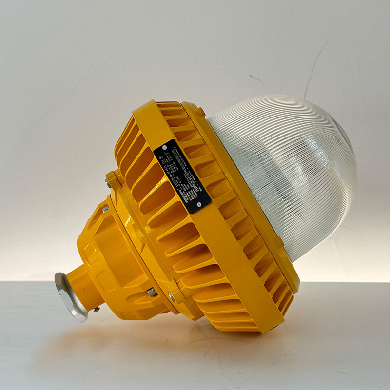 RECEN RFBL158-II-100W LED防爆照明灯 个高清大图