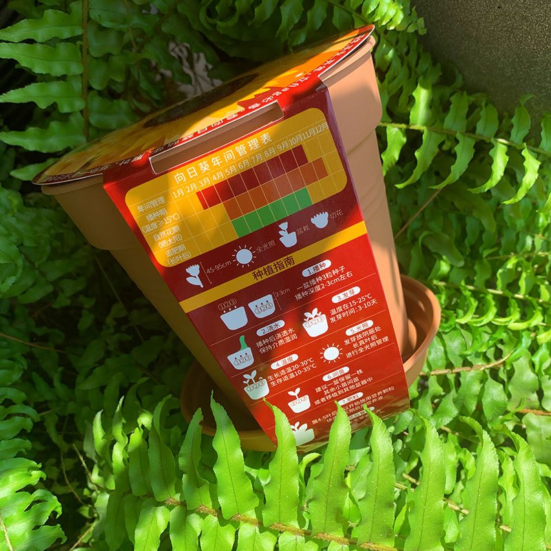 花彩师一举夺葵营养土种子组合种植开年好运