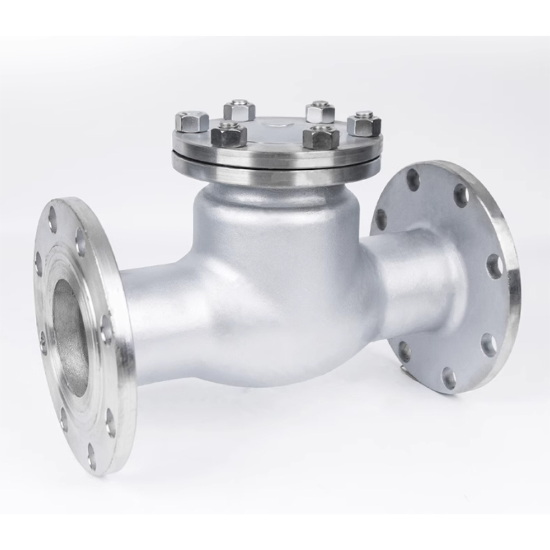 兴酉 304不锈钢法兰止回阀 DN300 个高清大图