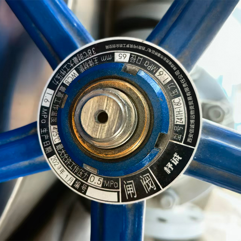 杼诚铸钢闸阀DN65/个高清大图