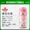青岛啤酒白啤11度500*12罐啤(樱花版)
