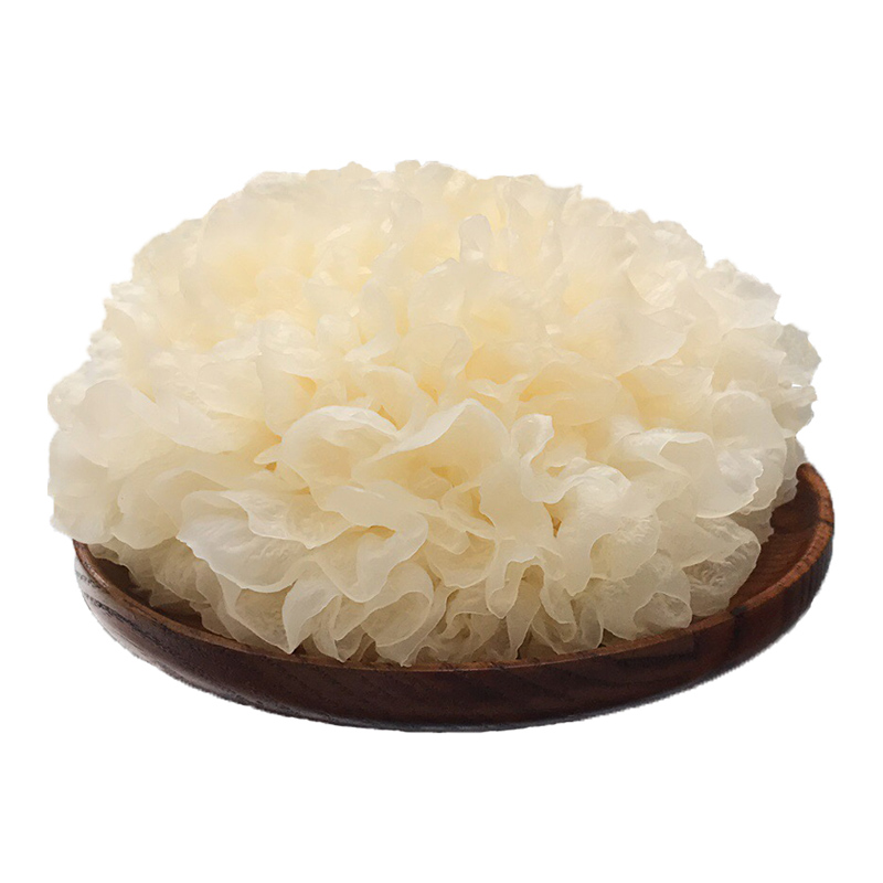 顺丰 新鲜银耳 福建古田鲜活耳雪耳 白木耳 银耳莲子粥原料 6朵 约900