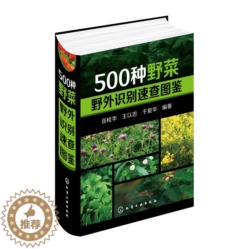 【醉染正版】500种野菜野外识别速查图鉴 岳桂华 生物科学 生活百科书籍 野生植物花草识别图解书籍 植物特性药学图鉴 中