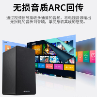 山水H8家庭ktv音响套装电视k歌客厅家用蓝牙全套重低音卡拉OK音箱家庭影院木质音箱双无线话筒麦克风
