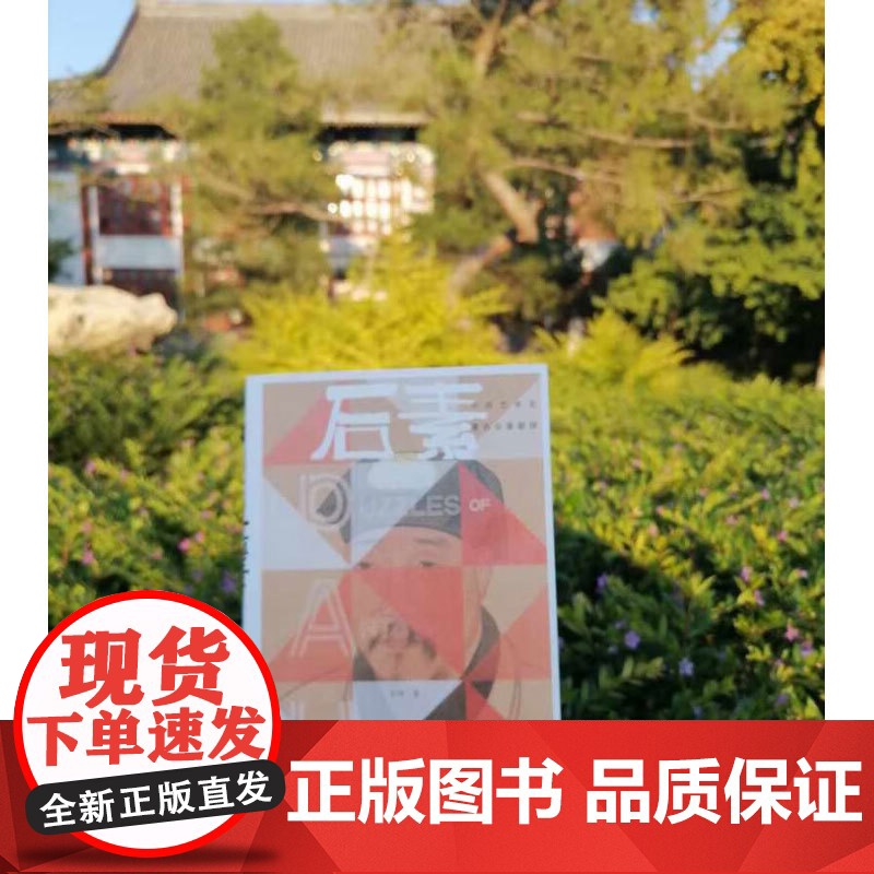 后素 彭锋 著 艺术史高清大图