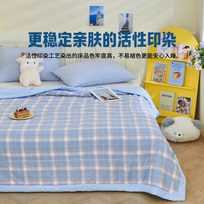 罗曼罗兰(ROMROL)春夏新款夏被 大豆水洗夏被 夏日清风 150*200CM图片