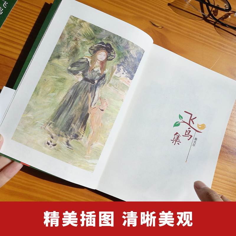 飞鸟集 新月集 [正版]扫码听音频新月集飞鸟集 英汉对照注释版双语版 泰戈尔外国小说故事中小学生阅读世界名著现当代文学畅高清大图