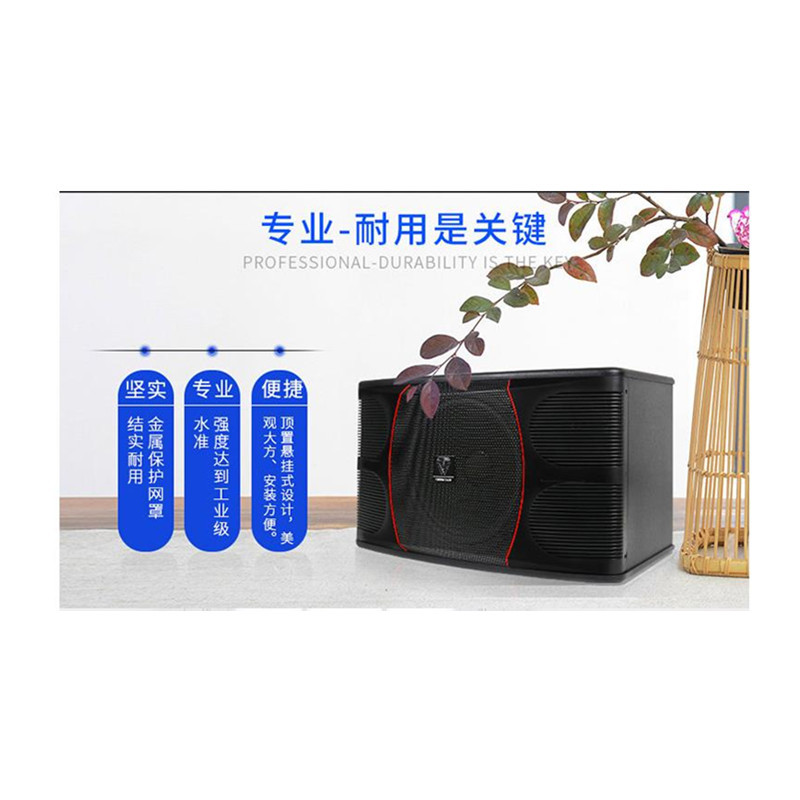 Winner/天逸BL-03百灵三号无源卡包音箱专业卡拉OK音箱