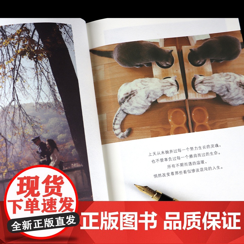 这世界偷偷爱着你(全新修订版,新增2万字,附赠精美书签) 辉姑娘 天地出版社 正版书籍高清大图