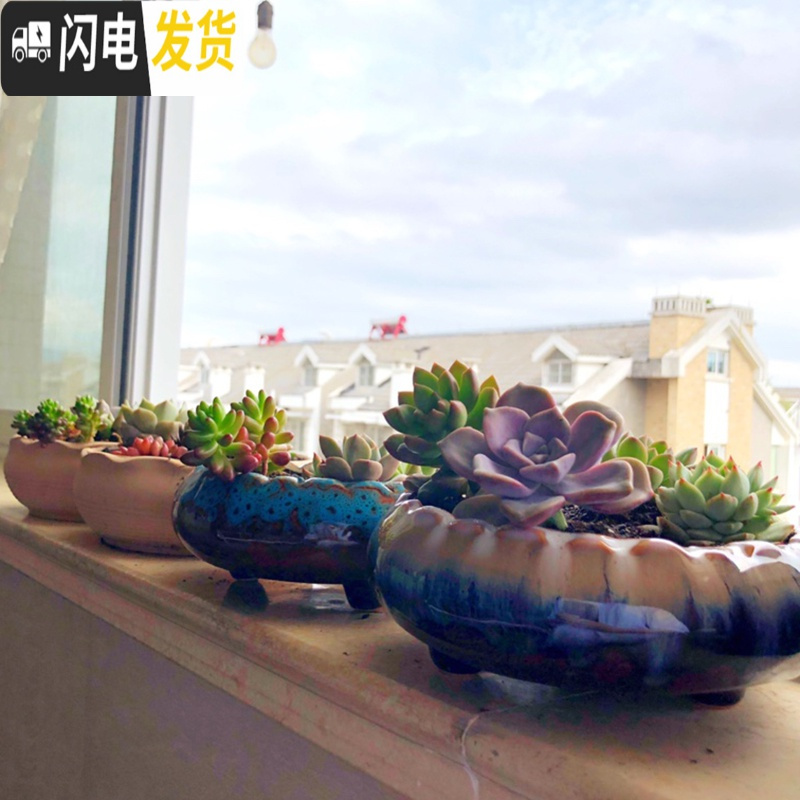 三维工匠大口径多肉花盆陶瓷粗陶透气特大号肉肉植物组合拼盘 [9.9] 大花盆容器高清大图