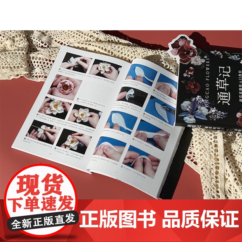 赠书签 通草记 通草花制作入门教程 仿真花永生花制作工艺技法 中国传统文化 零基础初学者入门案例详解图解非遗手工DIY一高清大图