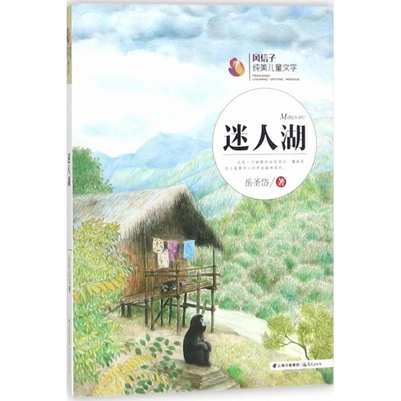 音像迷人湖岳圣岱 著