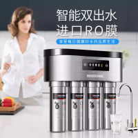 德国德克西R-50反渗透净水器低废水自吸泵不锈钢净水器 直饮纯水机 自来水过滤器 RO反渗透双出水(两年滤芯,免费安装)