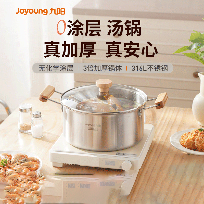 九阳316L不锈钢食品级汤锅蒸锅加厚家用煮锅通用炉灶 【适用2-3人】-CF22T-CT544(GB) 22cm