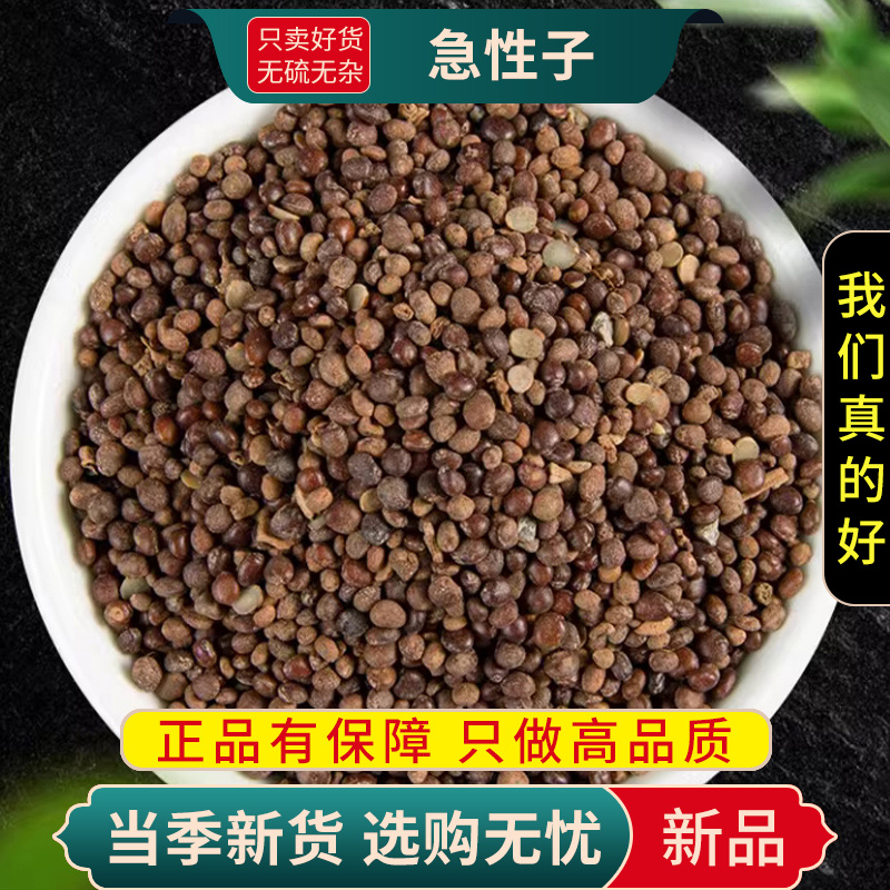 甄选急性子100克干货新货凤仙花子指甲花籽正品急性籽9260高清大图
